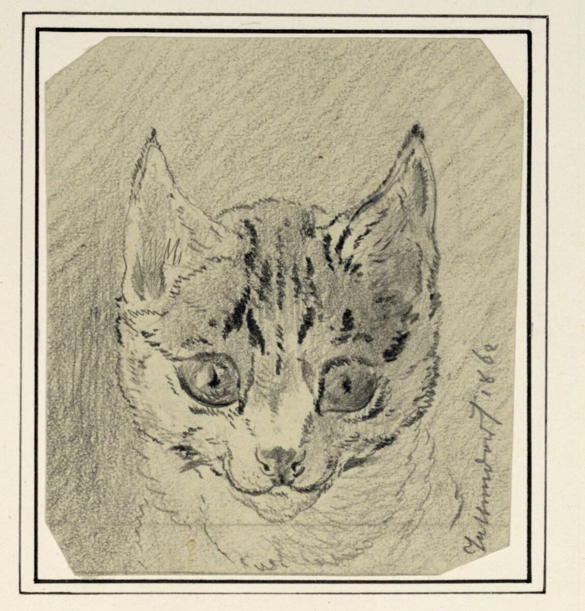 Carl Pischinger, Katzenkopf von vorne, Inv. Nr.: 7691