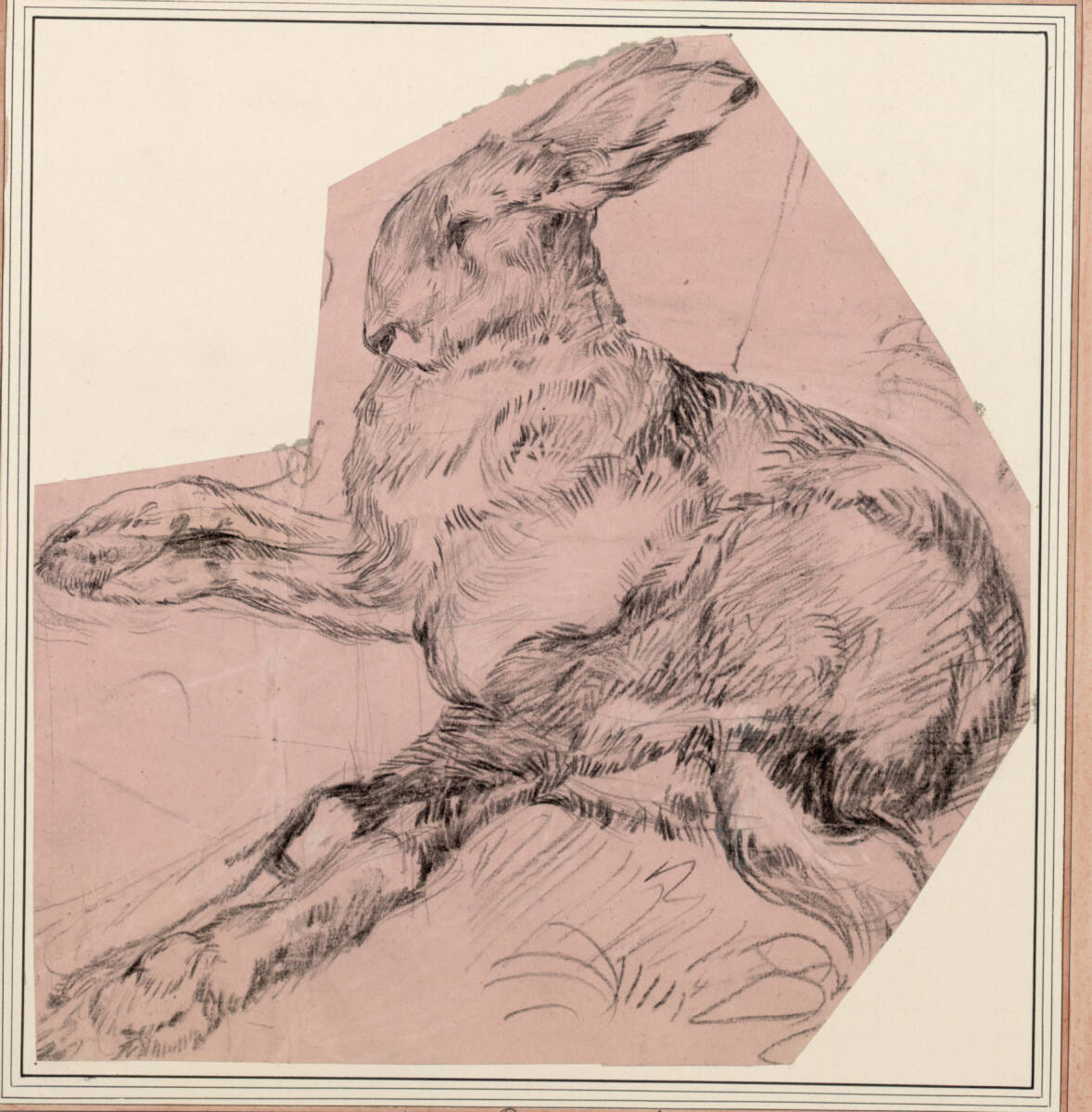 Hase, Carl Pischinger