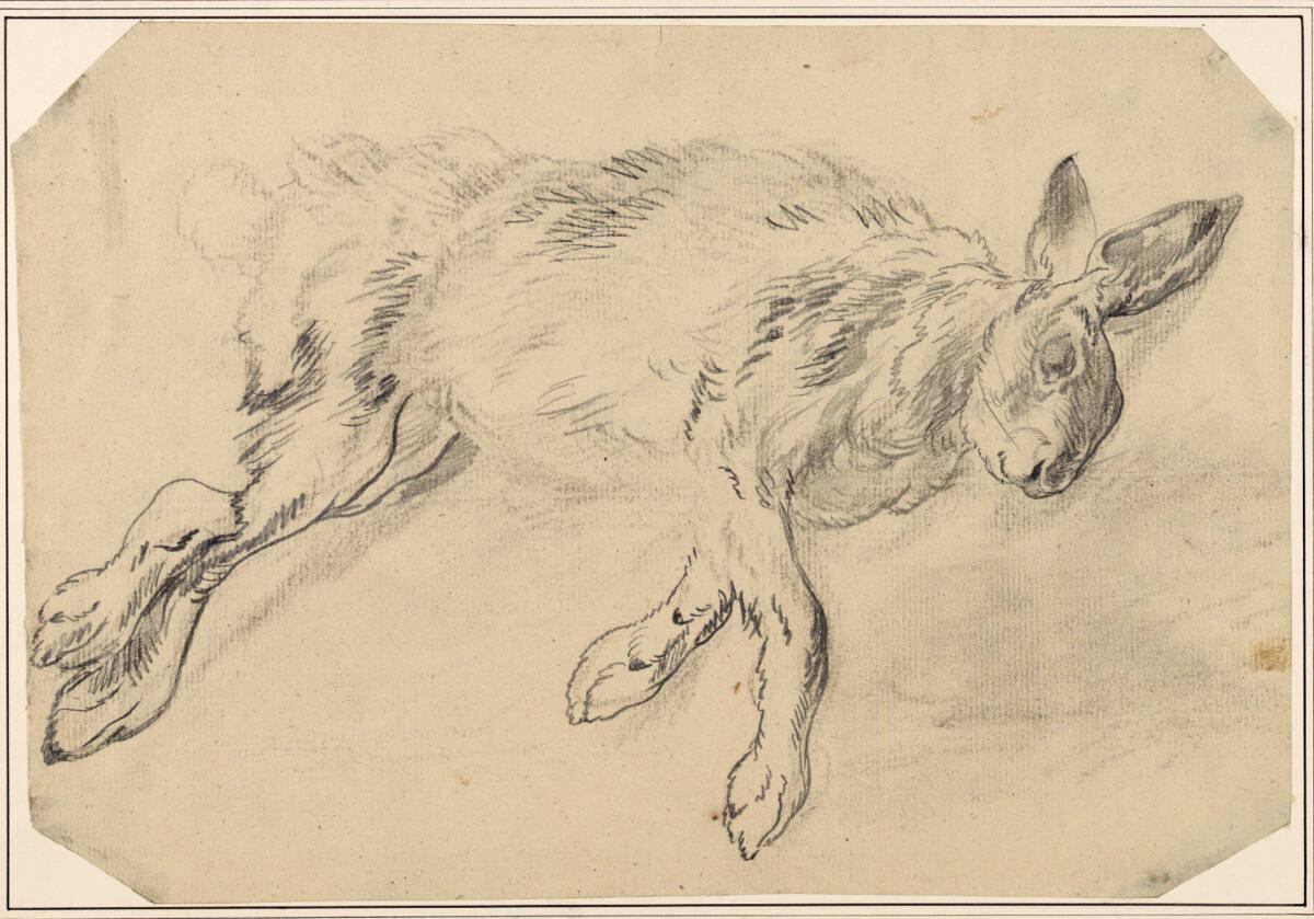 Carl Pischinger, Toter, liegender Hase, Inv. Nr.: 7703