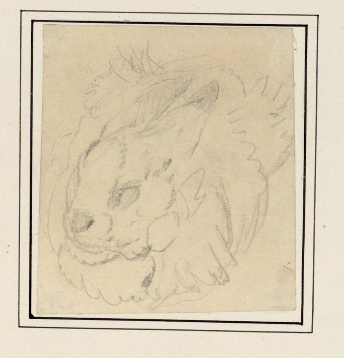 Kauernder Hase, Carl Pischinger