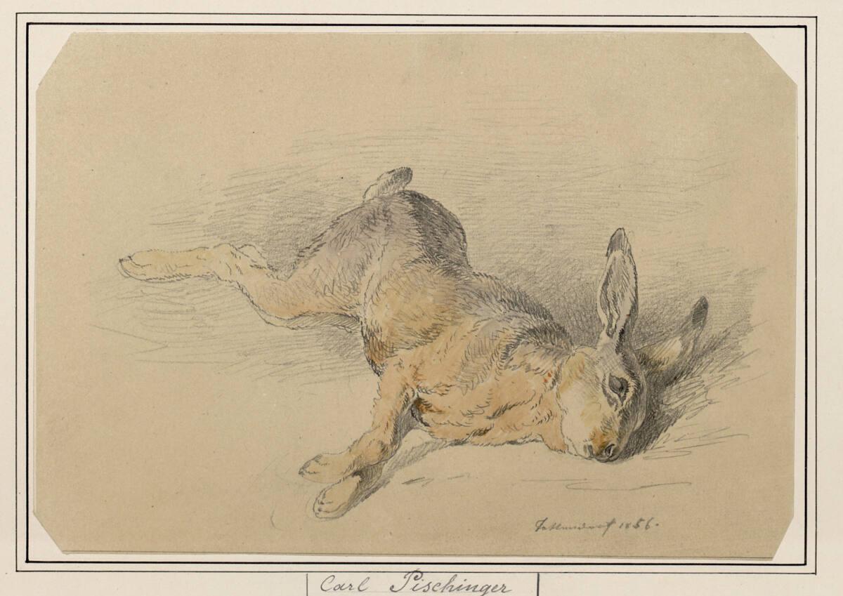 Carl Pischinger, Toter Hase, Inv. Nr.: 7708