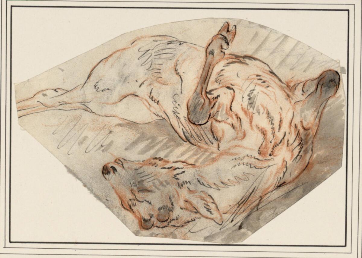 Carl Pischinger, Totes Wild, Inv. Nr.: 7716