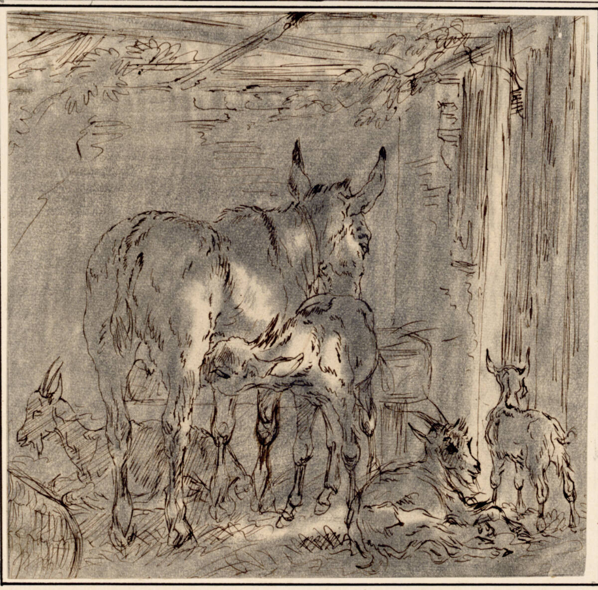 Stall mit Eselin, Junges und Ziegen, Carl Pischinger