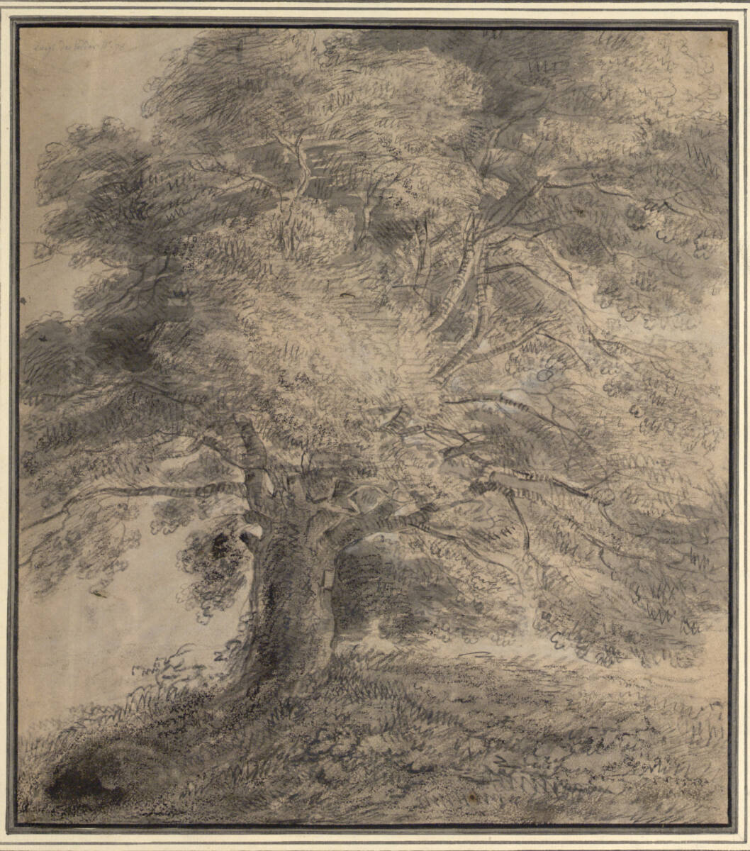 Alter Baum, Lodewijk de Vadder