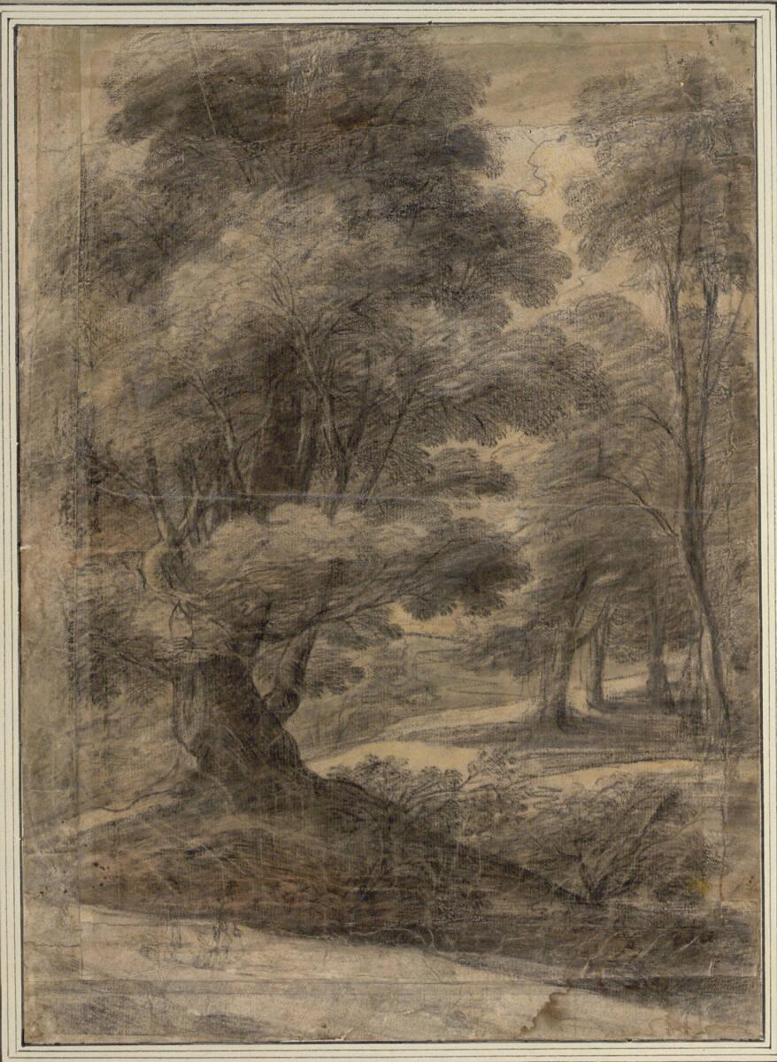 Lodewyk de Vadder, Waldstück mit altem Baum, Inv. Nr.: 8096