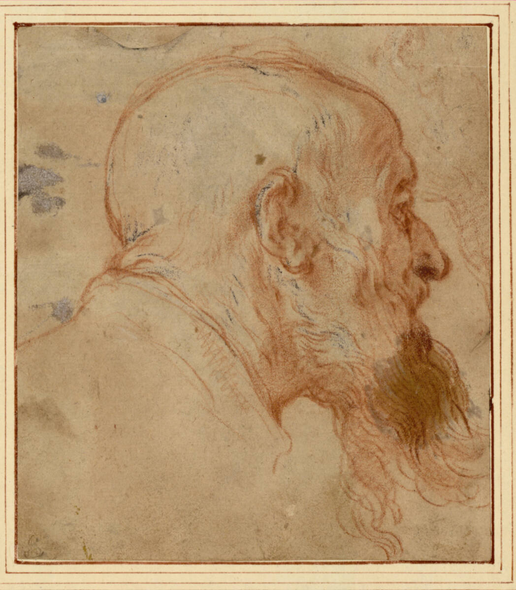 Studie zum Kopf des hl. Hieronymus des Kirchenväterbildes, Abraham Bloemaert