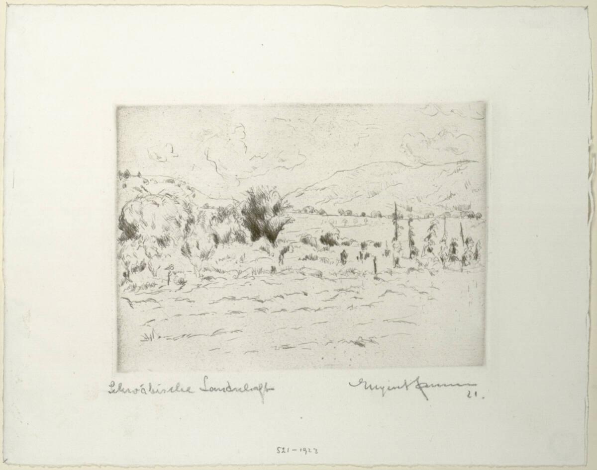 Eugen Hamm, Schwäbische Landschaft, Inv. Nr.: DG1923/521