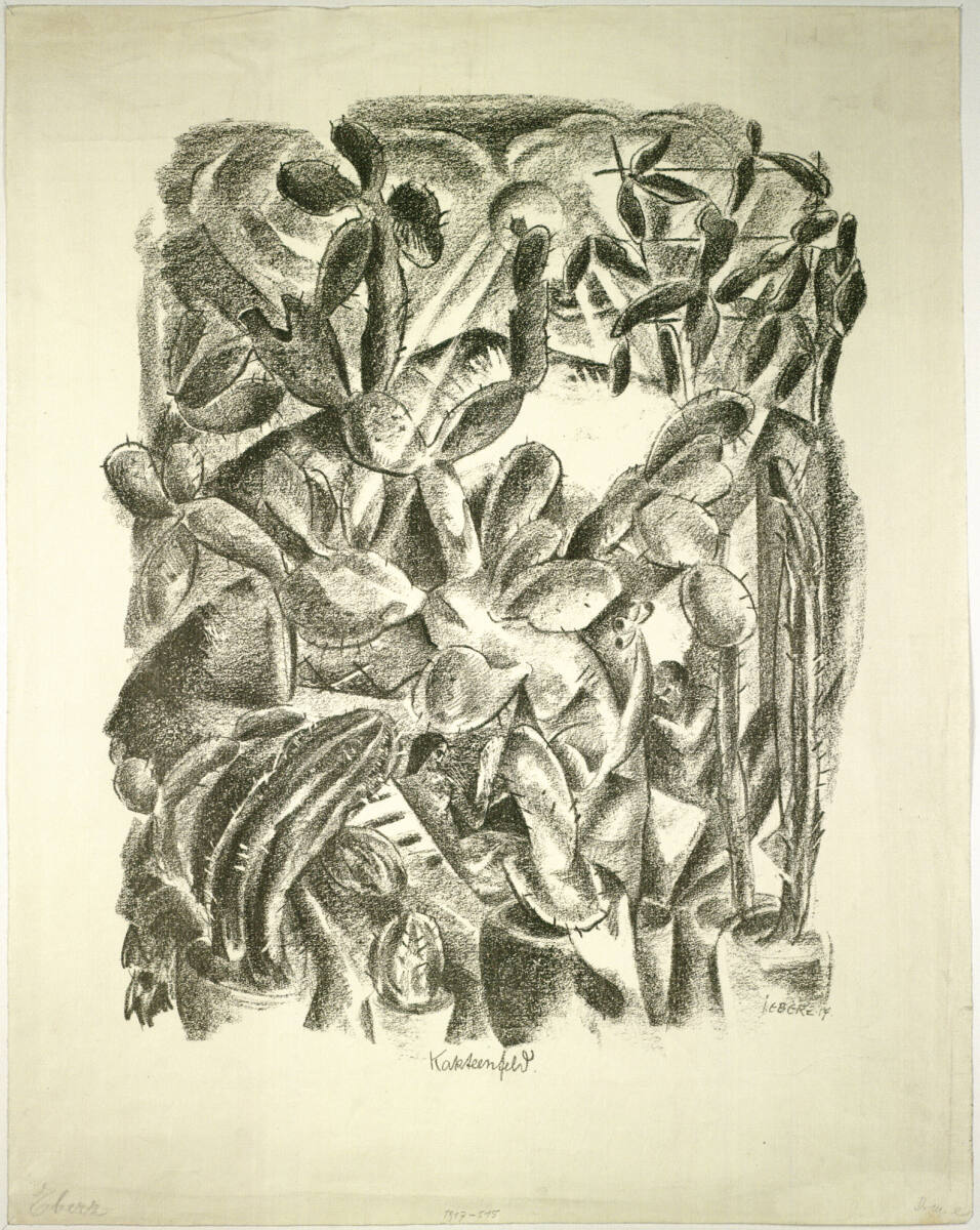 Kakteenfeld, Josef Eberz, 1917