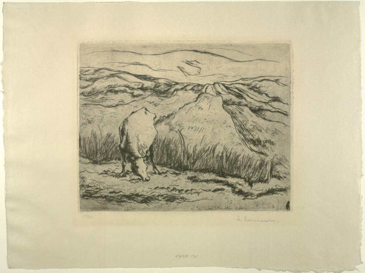 Heinrich Nauen, Grasende Kuh, Inv. Nr.: DG1920/131