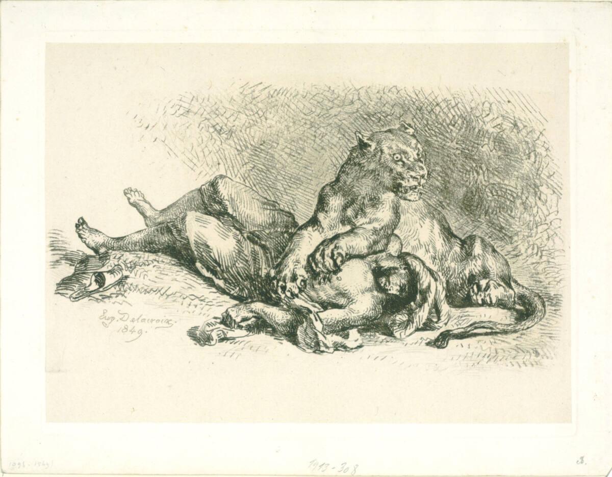 Lionne déchirant la poitrine d'un arabe, Эжен Делакруа, 1849