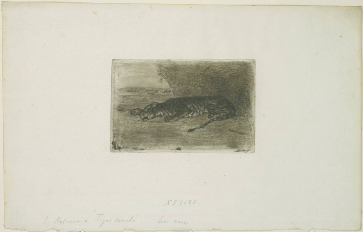 Tigre couché à l'entrée de son antre, Eugène Delacroix