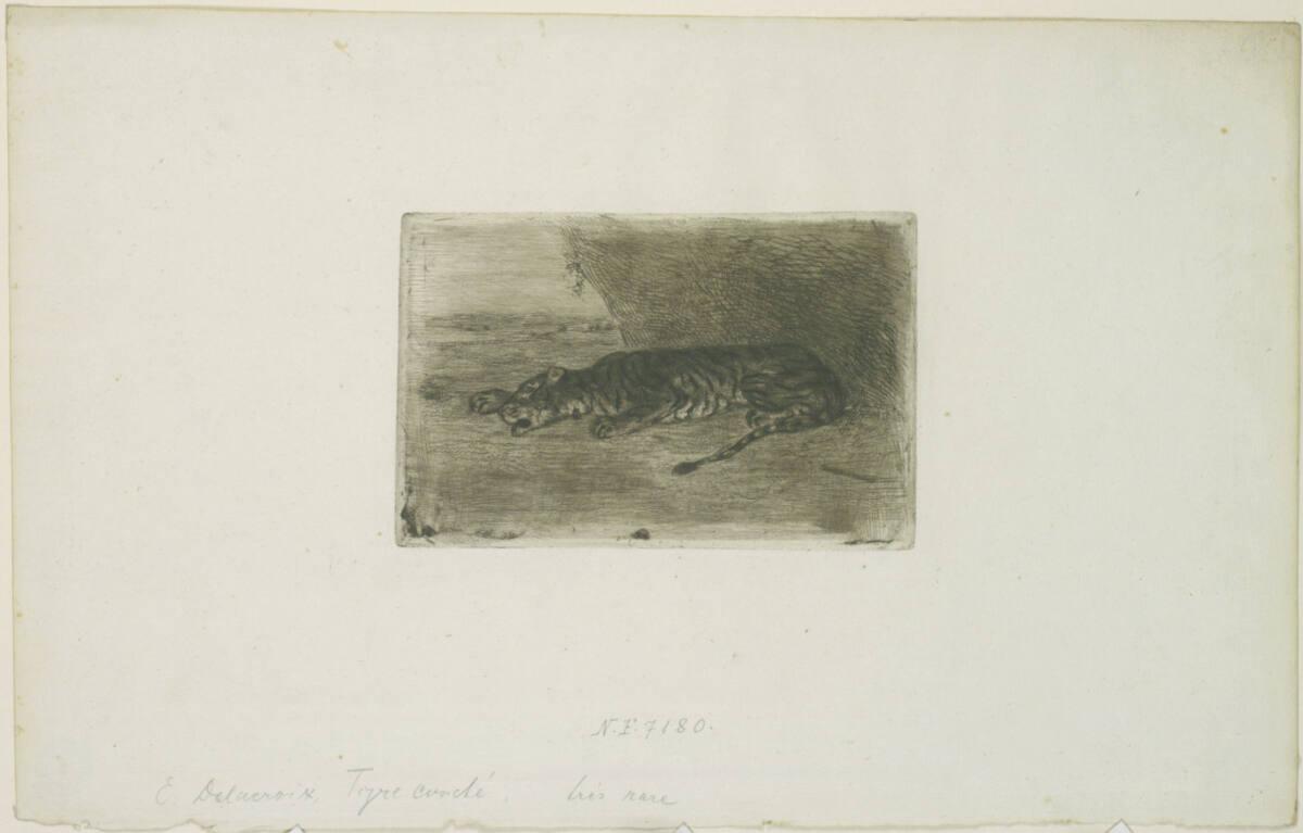 Eugène Delacroix, Tigre couché à l'entrée de son antre, Inv. Nr.: DGNF7180