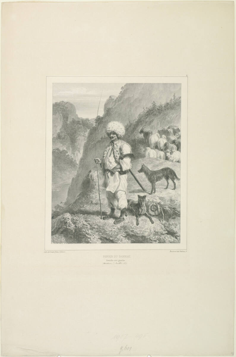 Berger du bannat, Danube rive gauche, Drenkova, 7 juillet 1837, Gihautfrères, 1838