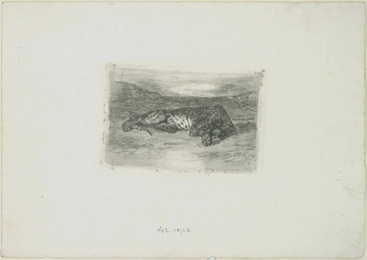 Tigre couché dans le désert, Eugène Delacroix, 1846