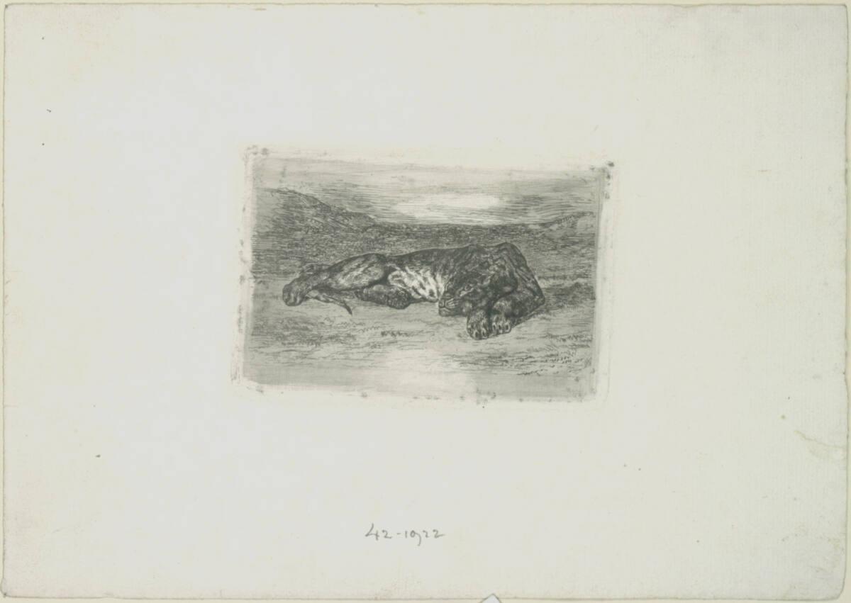 Tigre couché dans le désert, Эжен Делакруа, 1846