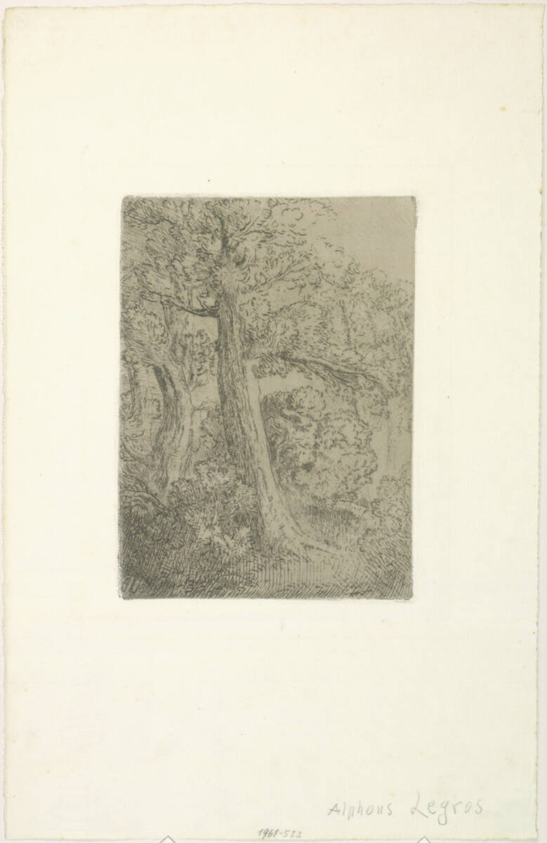 Baumgruppe, AlphonseLegros