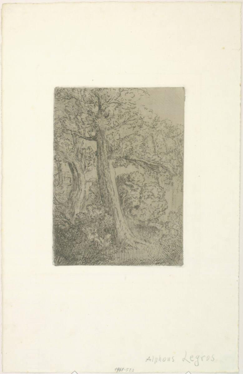 Alphonse Legros, Baumgruppe, Inv. Nr.: DG1961/523