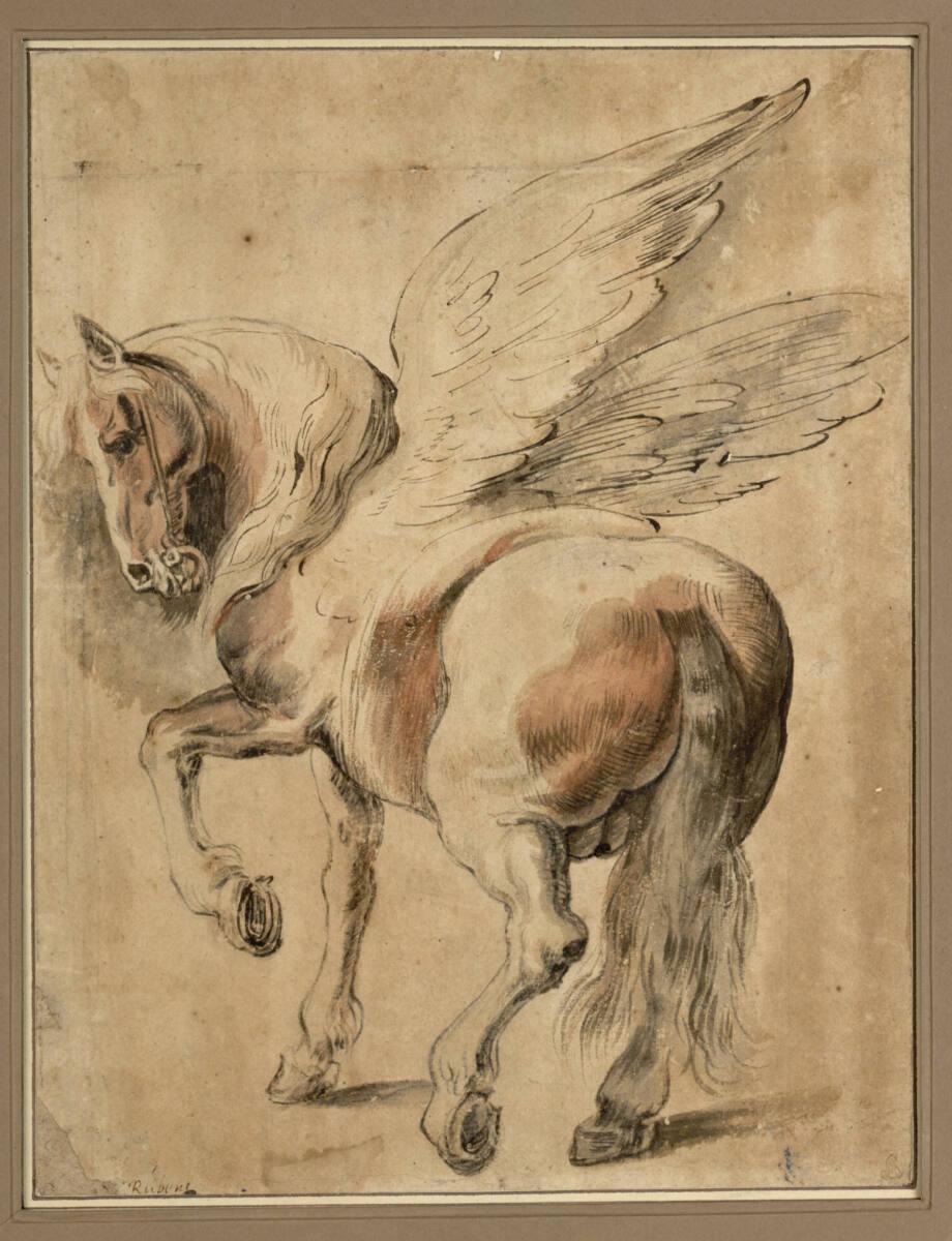Anonym, Pegasus, Inv. Nr.: 8242