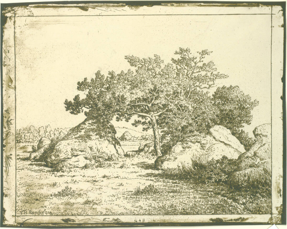 Le cerisier de la Plante a Biau, Théodore Rousseau