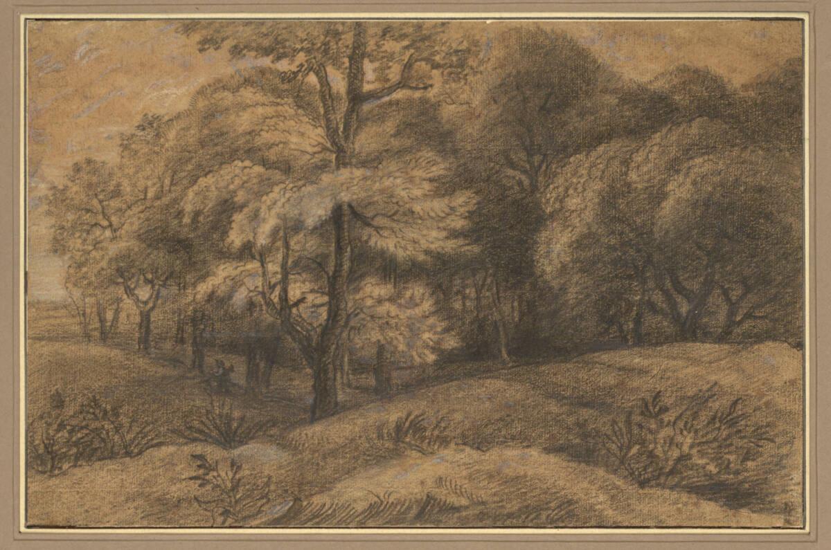 Anonym, Hügeliges Wäldchen mit Wanderer, Inv. Nr.: 8250