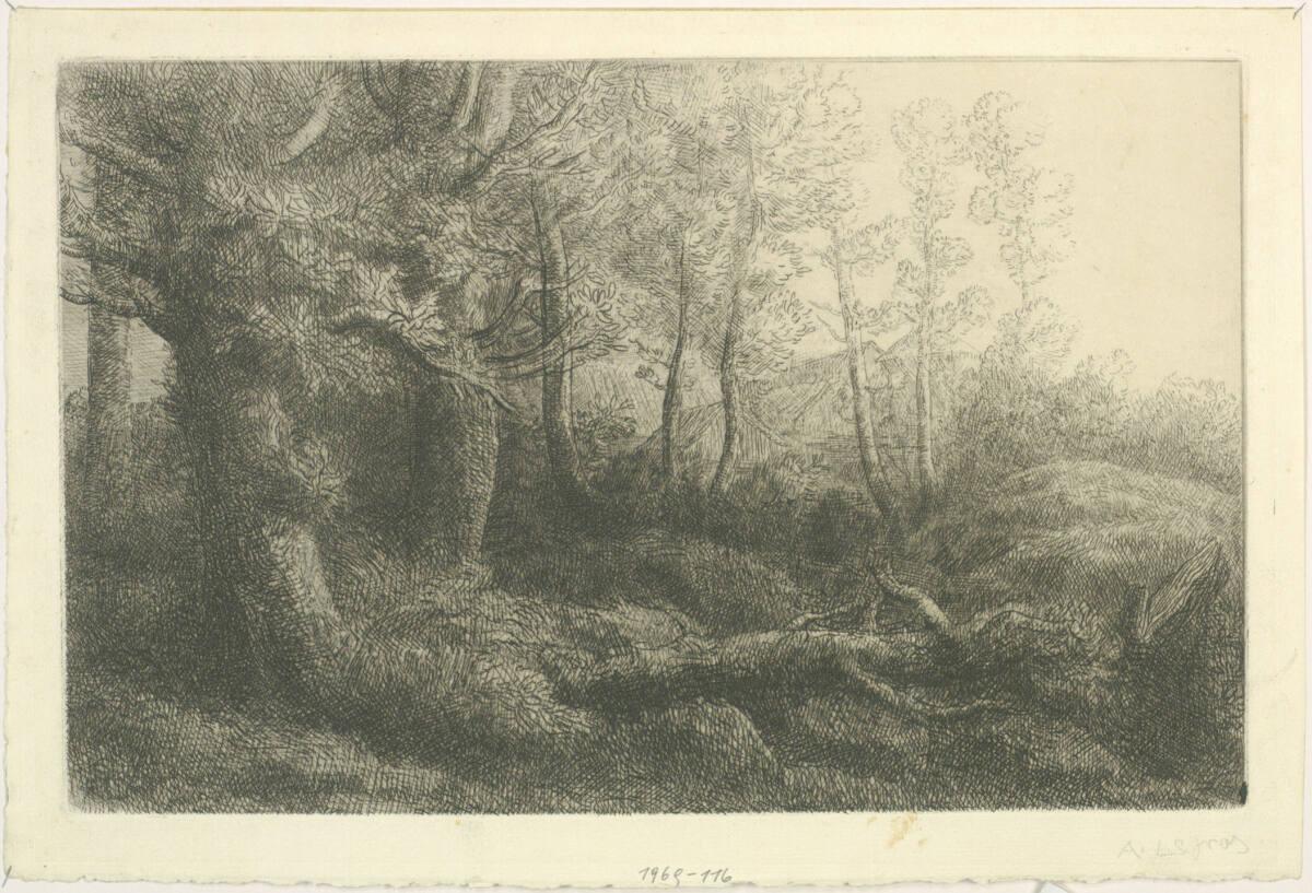 Alphonse Legros, Baumlandschaft, Inv. Nr.: DG1969/116
