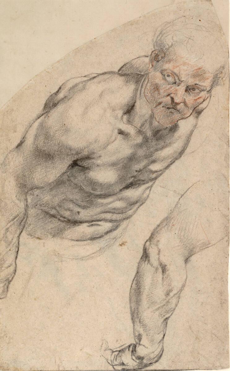Peter Paul Rubens, Aktstudie eines Mannes in vorgebeugter Haltung , Inv. Nr.: 8300r