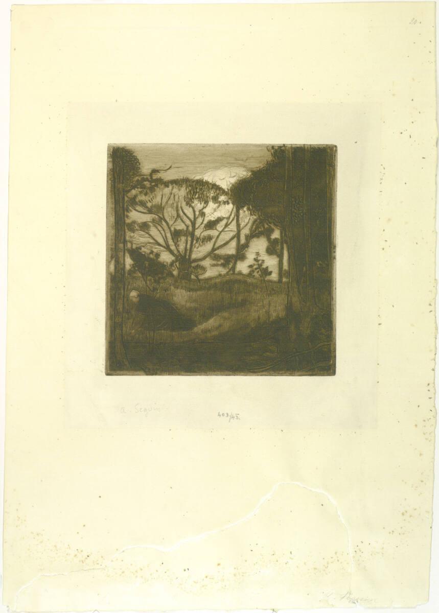 Armand Séguin, Waldlandschaft, Inv. Nr.: DG1943/403