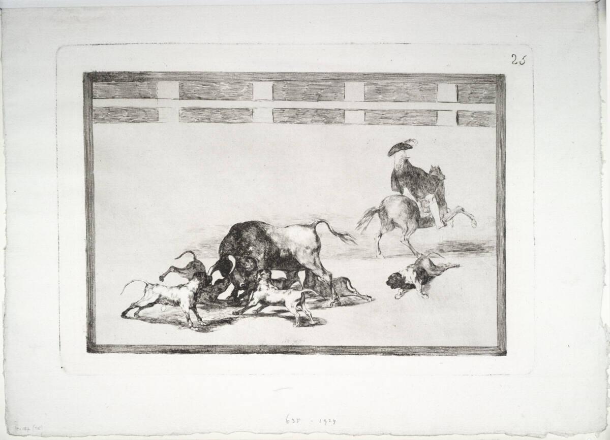 La Tauromáquia: Echan perros al toro - Man lässt Hunde auf den Stier los, Francisco Goya, 1816