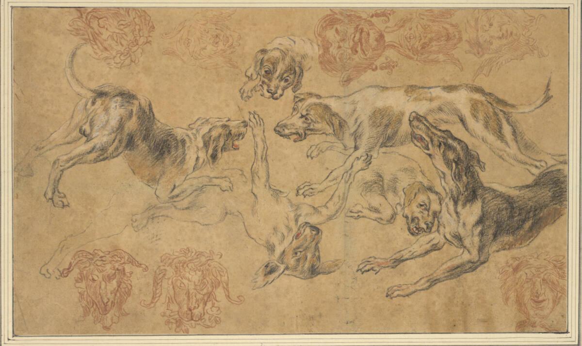 Frans Snyders, Skizzenblatt mit Jagdhundstudien und grotesken Masken, Inv. Nr.: 8347