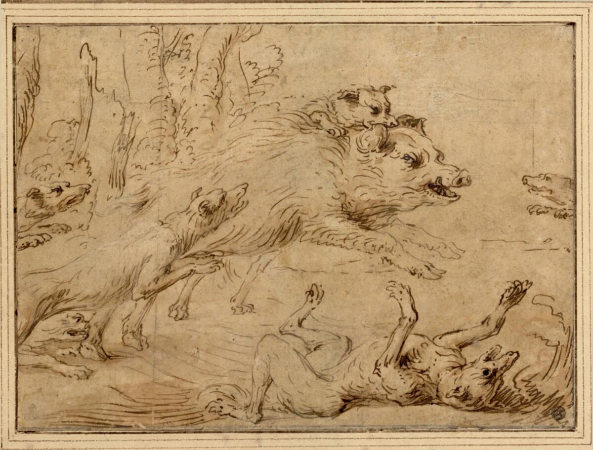Frans Snyders, Von Jagdhunden angefallener Eber, Inv. Nr.: 8349