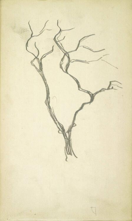 Alfred Kubin, Baumstudie, Inv. Nr.: 36751/3v