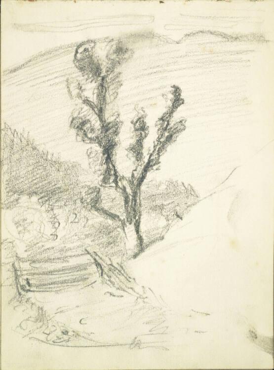 Alfred Kubin, Baumstudie, Inv. Nr.: 36753/32