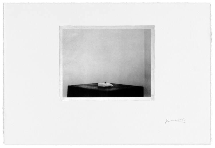 Jannis Kounellis, Opus I # 11, Inv. Nr.: DG2004DL1/11