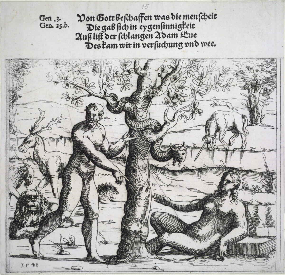 Adam und Eva, Augustin Hirschvogel, 1548