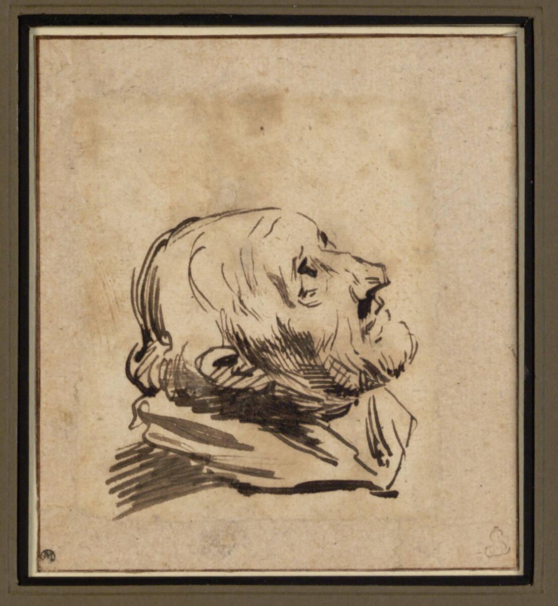 Anthonis van Dyck, Männlicher Kopf nach rechts, aufwärts blickend  (Marinus Janssens?), Inv. Nr…