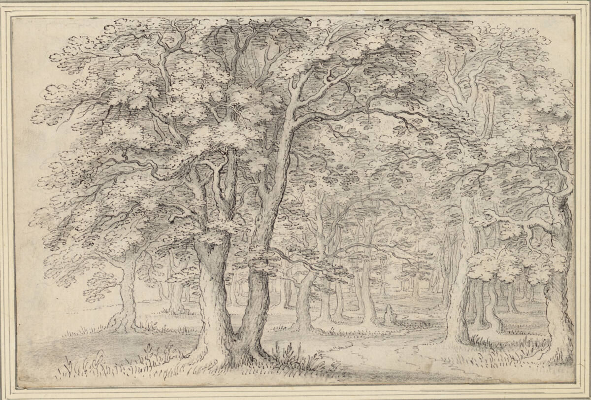 Blick in einen Wald, Cornelis Claesz van Wieringen