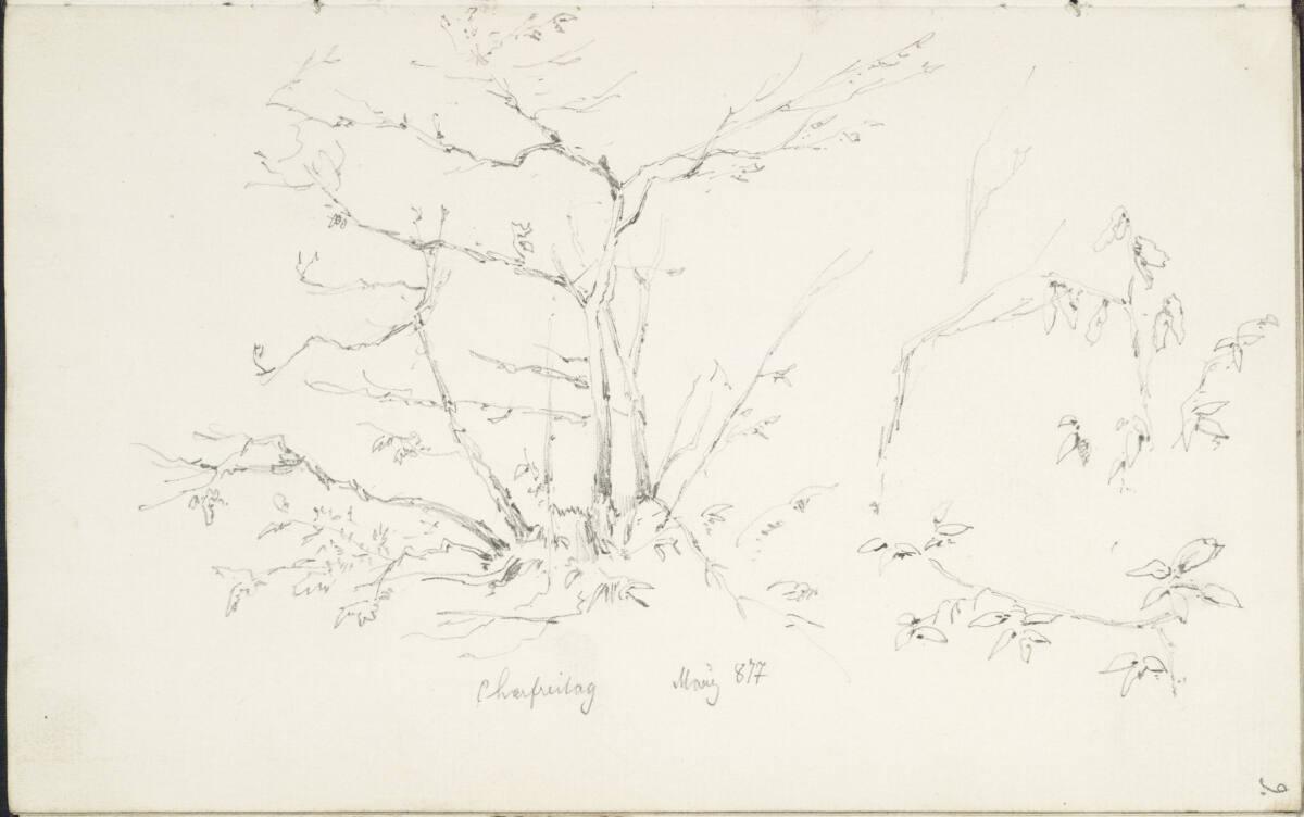 Theodor von Hörmann, Baumstudien, Karfreitag, im März 1877, Inv. Nr.: 26406/9r
