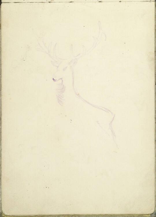 Oskar Kokoschka, Hirsch, Inv. Nr.: 41196/3v