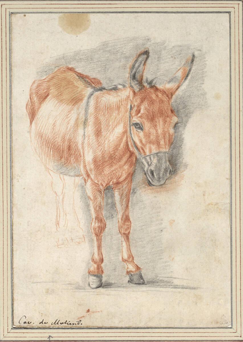 Pieter Mulier der Jüngere, Ein stehender Esel, Inv. Nr.: 8704