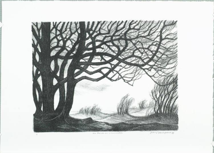 Franz Traunfellner, Am Rand des Wienerwaldes, Inv. Nr.: DG1999/158