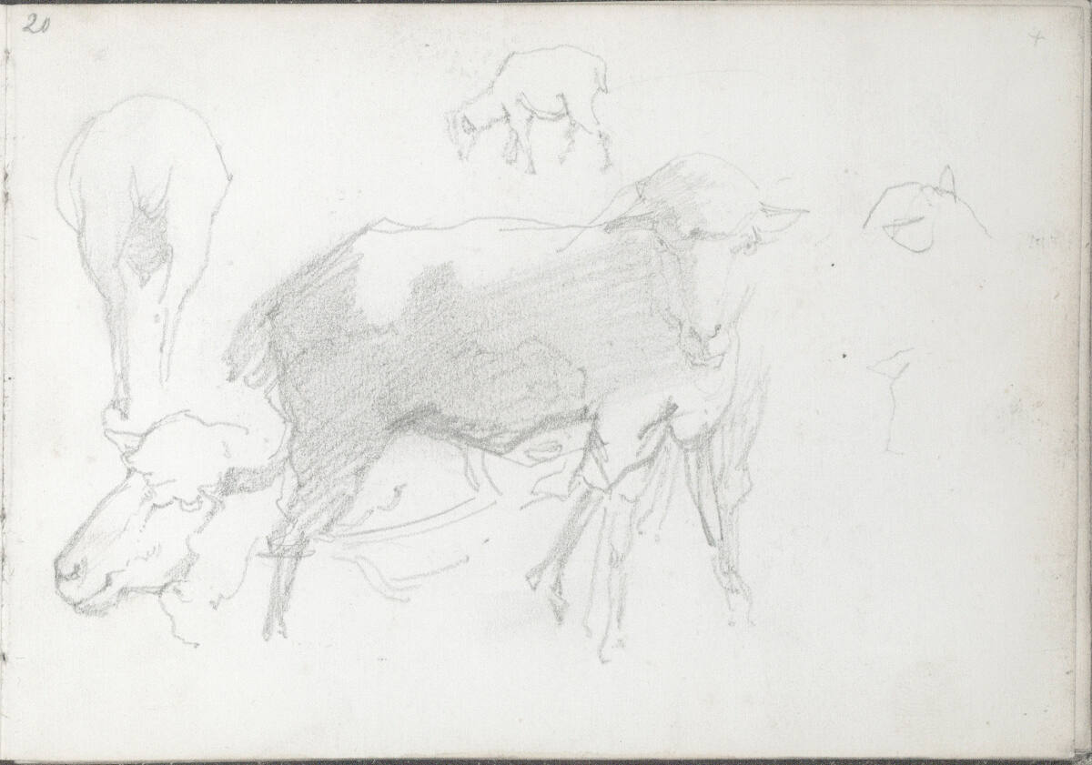 Studien von Schafen, Wilhelm Leibl, 1866–1869