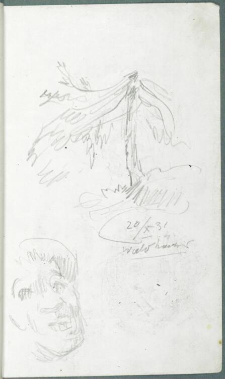 Alfred Kubin, Eine Baum- und eine Kopfstudie (bez.: "20/X 31, Waldhäuser"), Inv. Nr.: 36755/10r