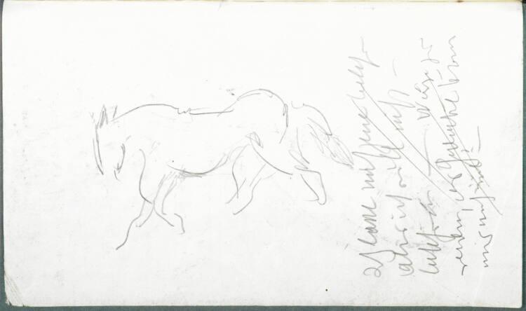 Alfred Kubin, Skizze eines Pferdes und Notizen, Inv. Nr.: 36755/7v