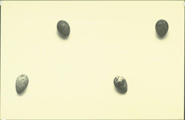Ingeborg Strobl, Ohne Titel, Inv. Nr.: DG2002/263