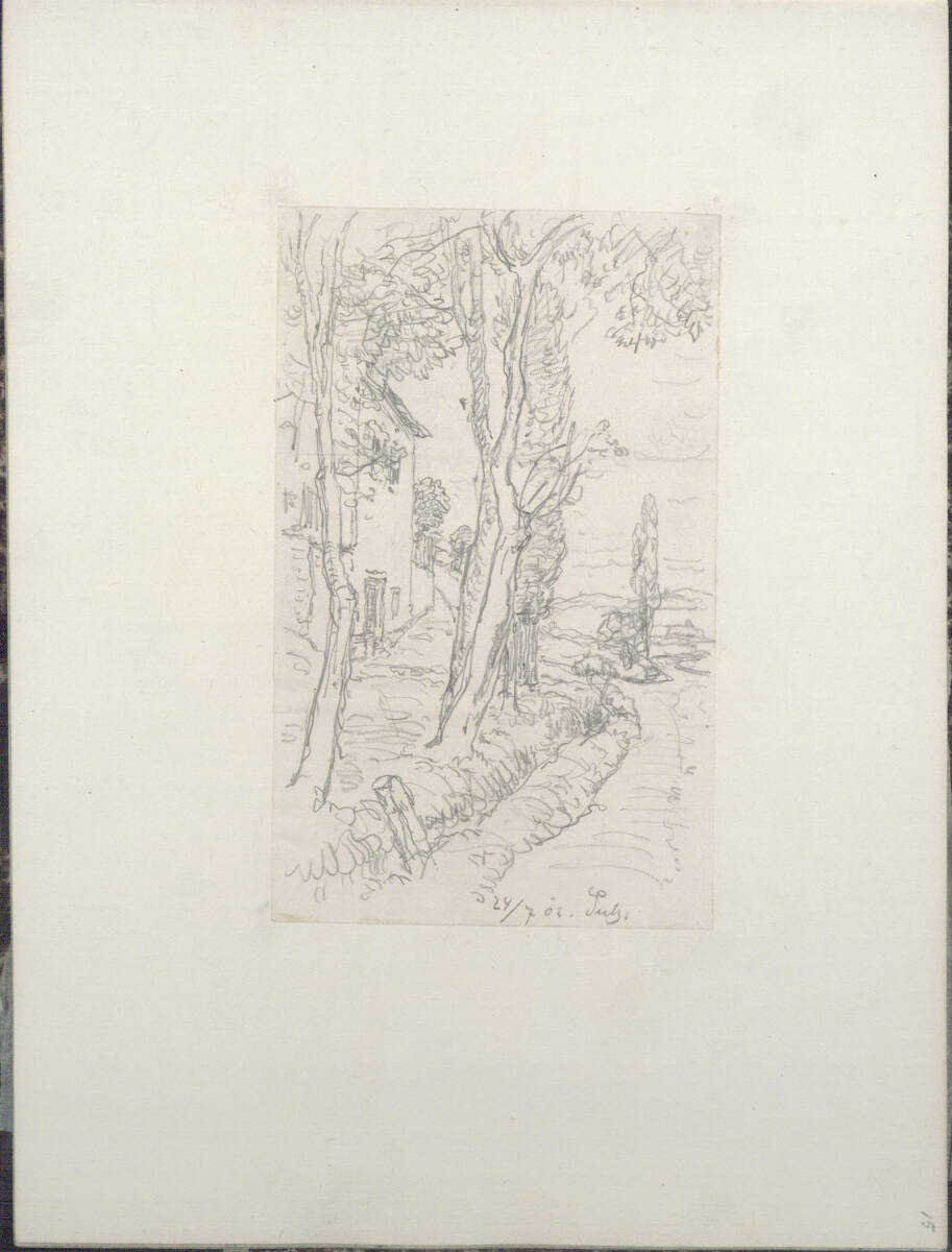 Sulz, 24. Juli 1902, Rudolf Ribarz