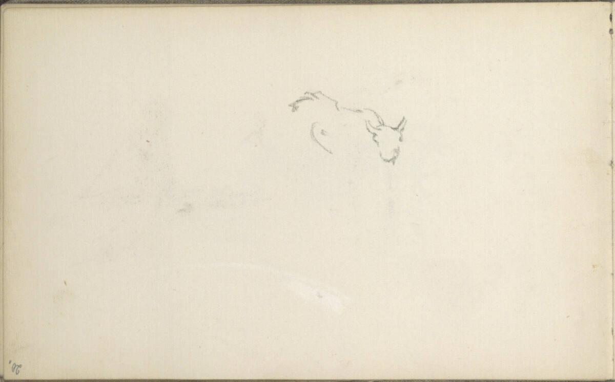 Tina Blau, Skizze einer Kuh, Inv. Nr.: 29548/20r