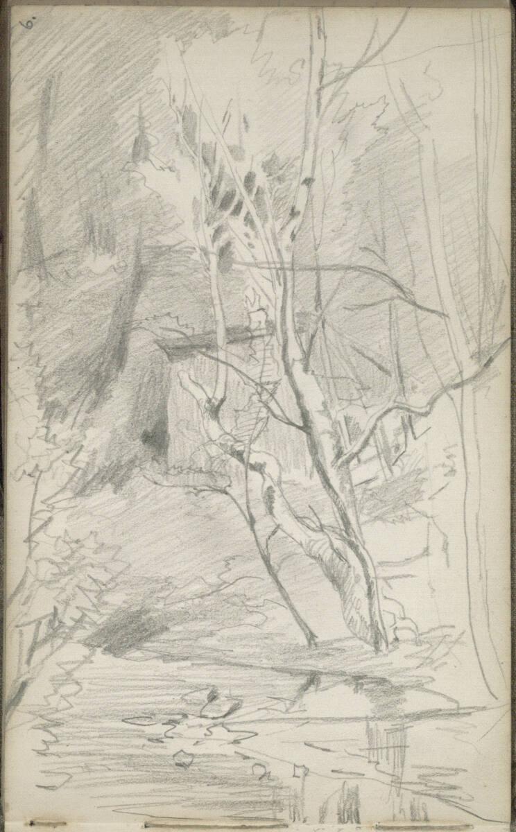 Tina Blau, Waldstudie, Inv. Nr.: 29548/6