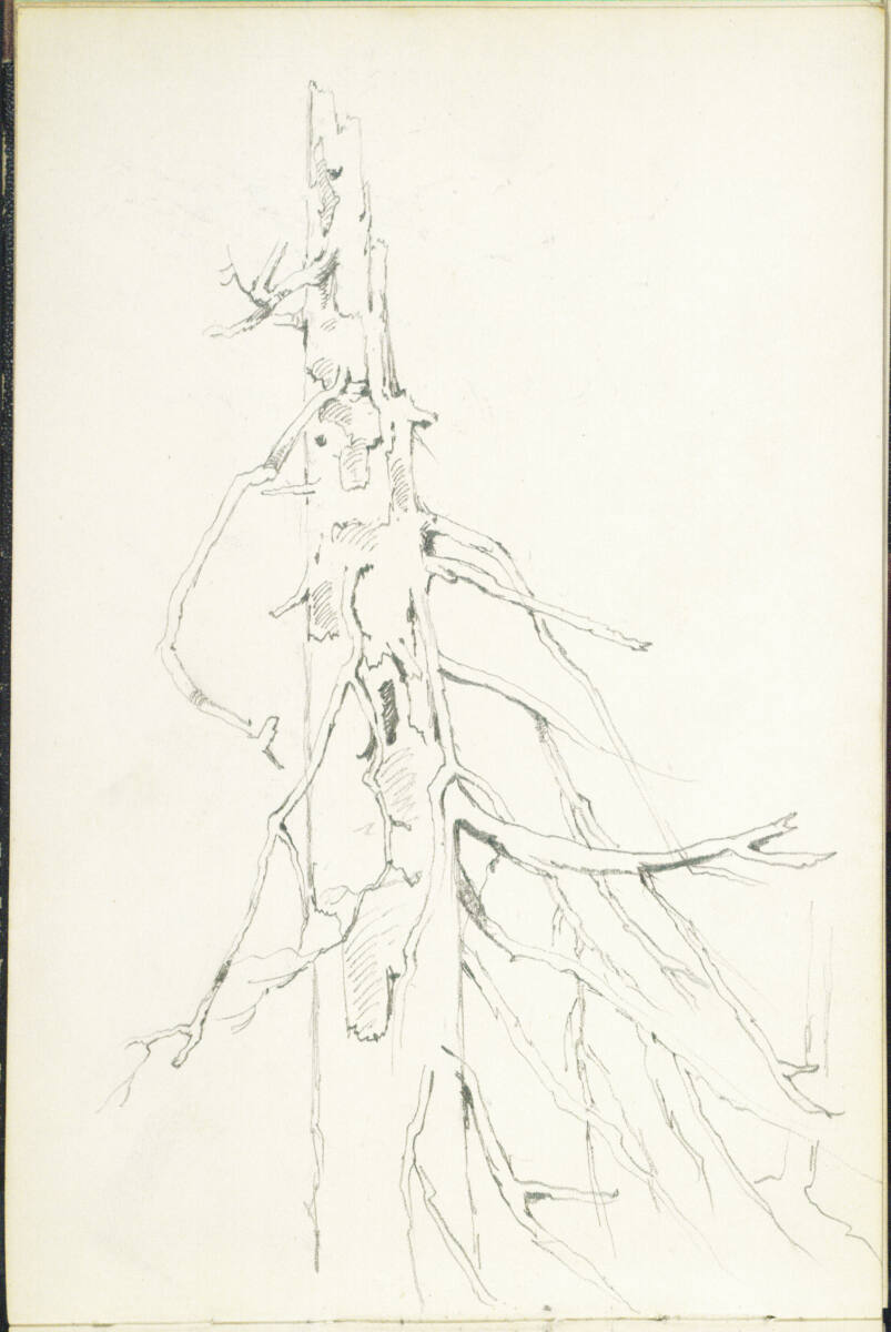 Baumstudie, Elendtal, Wanderung am 5. September (1878?), Theodor von Hörmann