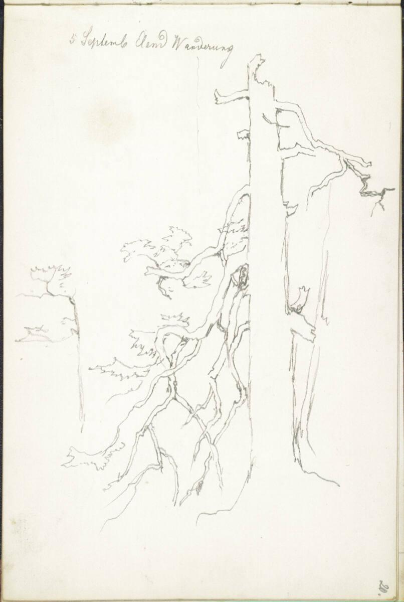 Theodor von Hörmann, Baumstudien, Elendtal, Wanderung am 5. September (1878?), Inv. Nr.: 26407/…