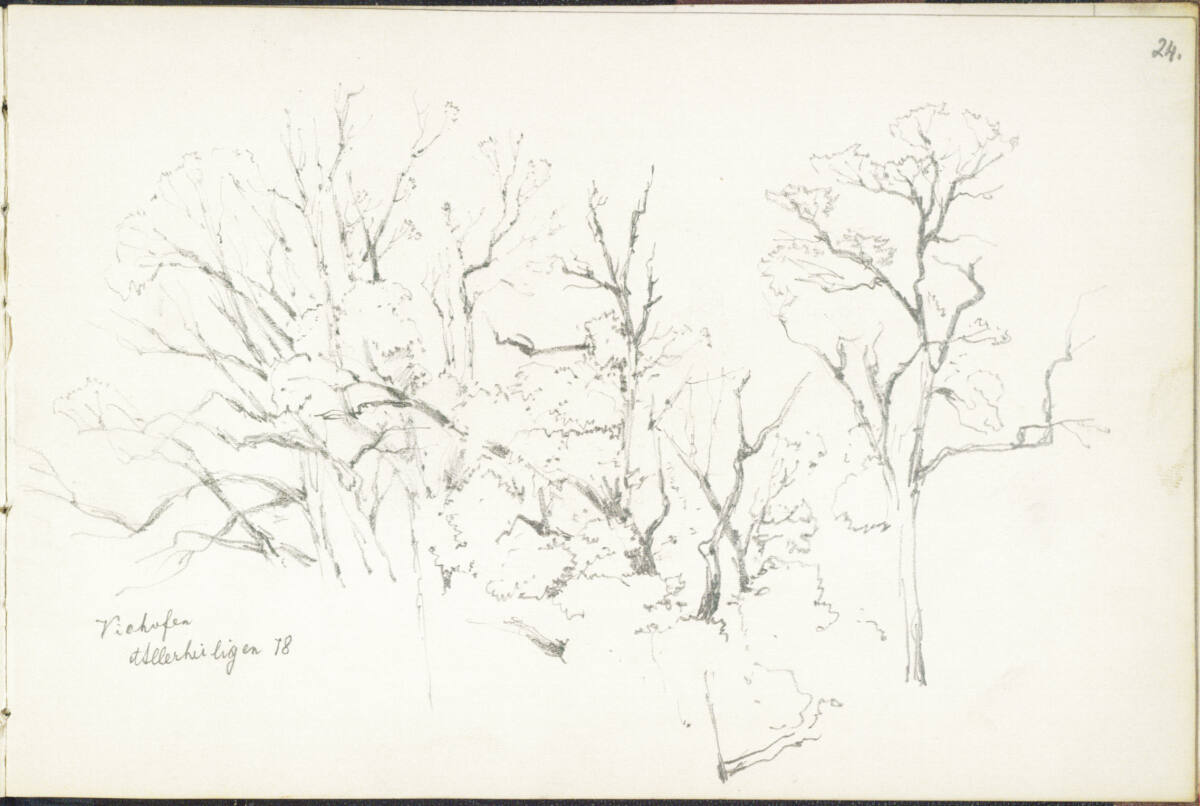 Baumstudie, Viehofen, Allerheiligen 1878, Theodor von Hörmann